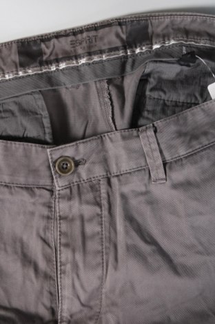 Herrenhose Esprit, Größe XL, Farbe Grau, Preis € 7,49