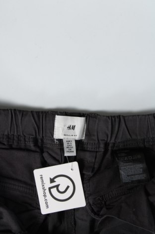 Herrenhose H&M, Größe S, Farbe Grau, Preis 20,29 €