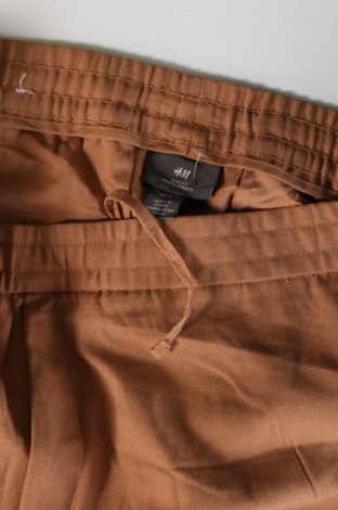 Herrenhose H&M, Größe L, Farbe Braun, Preis € 20,29