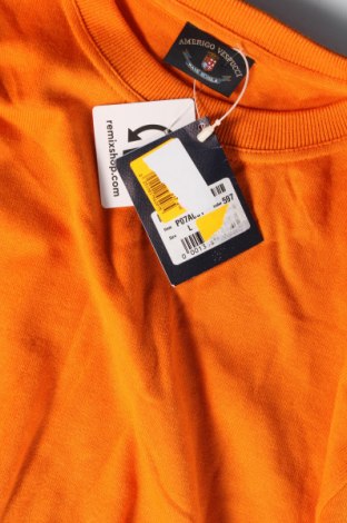 Herrenpullover Amerigo Vespucci, Größe L, Farbe Orange, Preis 15,79 €