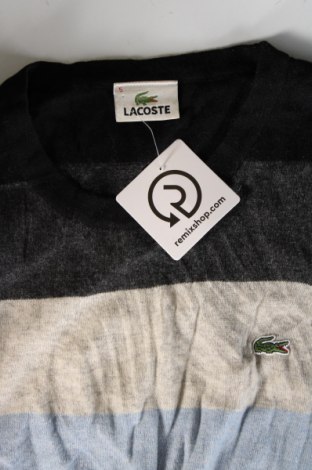 Herrenpullover Lacoste, Größe M, Farbe Mehrfarbig, Preis 50,49 €