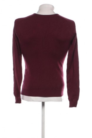 Herrenpullover Piazza Italia, Größe S, Farbe Lila, Preis € 9,49