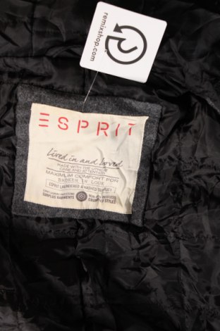 Ανδρικά παλτό Esprit, Μέγεθος XL, Χρώμα Γκρί, Τιμή 34,99 €