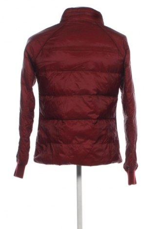 Herrenjacke Armani Jeans, Größe L, Farbe Rot, Preis € 133,99