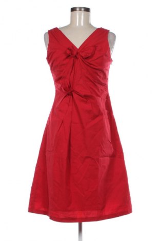 Kleid Coast, Größe L, Farbe Rot, Preis 76,39 €