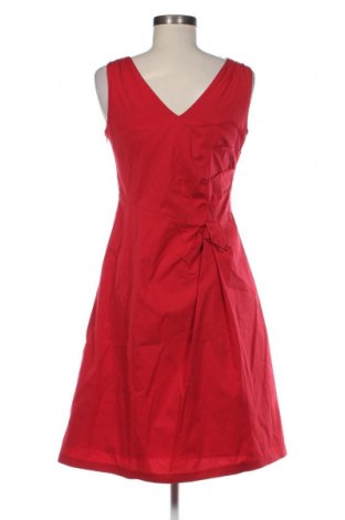 Kleid Coast, Größe L, Farbe Rot, Preis € 76,39