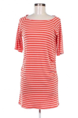 Šaty  Dorothy Perkins, Veľkosť XL, Farba Viacfarebná, Cena  9,95 €