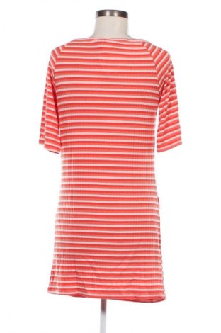 Šaty  Dorothy Perkins, Veľkosť XL, Farba Viacfarebná, Cena  9,95 €