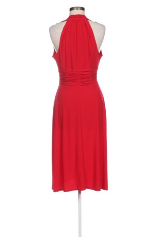 Kleid Evan Picone, Größe M, Farbe Rot, Preis € 21,99