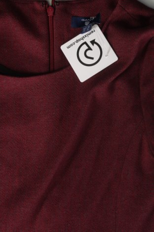 Kleid Gant, Größe M, Farbe Rot, Preis € 50,99