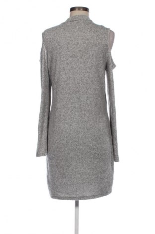 Kleid Janina, Größe L, Farbe Grau, Preis 9,49 €