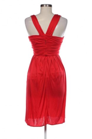 Kleid Mango, Größe S, Farbe Rot, Preis 38,62 €