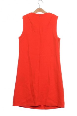 Kleid Mango, Größe XS, Farbe Rot, Preis 27,99 €