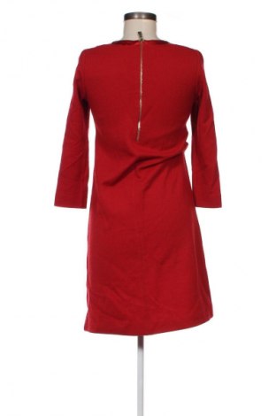 Kleid Marella, Größe XS, Farbe Rot, Preis € 31,49