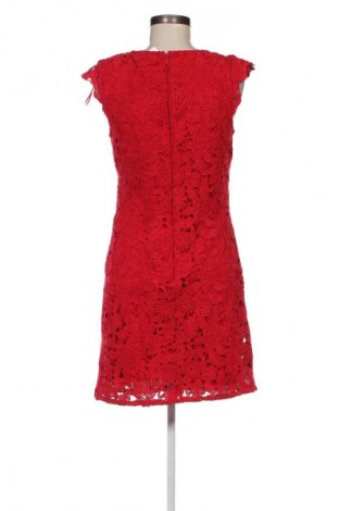 Kleid Orsay, Größe S, Farbe Rot, Preis € 40,79