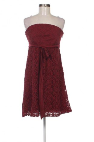 Kleid S.Oliver, Größe L, Farbe Rot, Preis 6,99 €