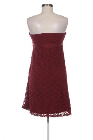 Kleid S.Oliver, Größe L, Farbe Rot, Preis 6,99 €