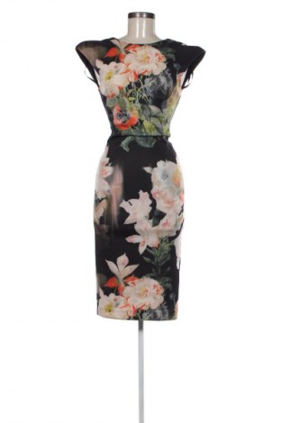 Kleid Ted Baker, Größe S, Farbe Mehrfarbig, Preis € 50,81