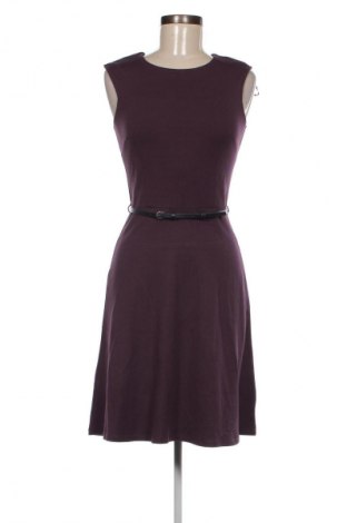 Kleid Zaros, Größe XS, Farbe Lila, Preis € 30,99