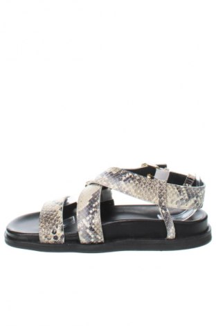 Sandalen AllSaints, Größe 39, Farbe Mehrfarbig, Preis 47,49 €