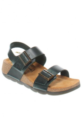 Sandalen Fly London, Größe 35, Farbe Grün, Preis 62,79 €