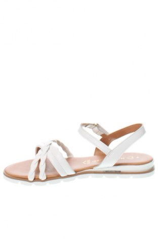 Sandalen Marco Tozzi, Größe 40, Farbe Weiß, Preis 41,99 €