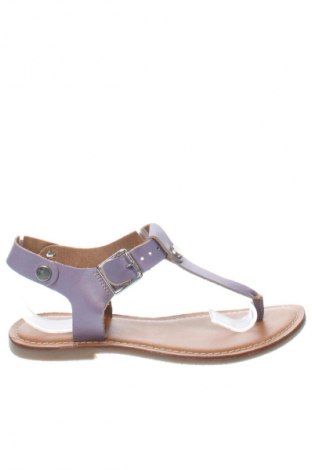 Sandale Steve Madden, Mărime 38, Culoare Mov, Preț 155,36 Lei