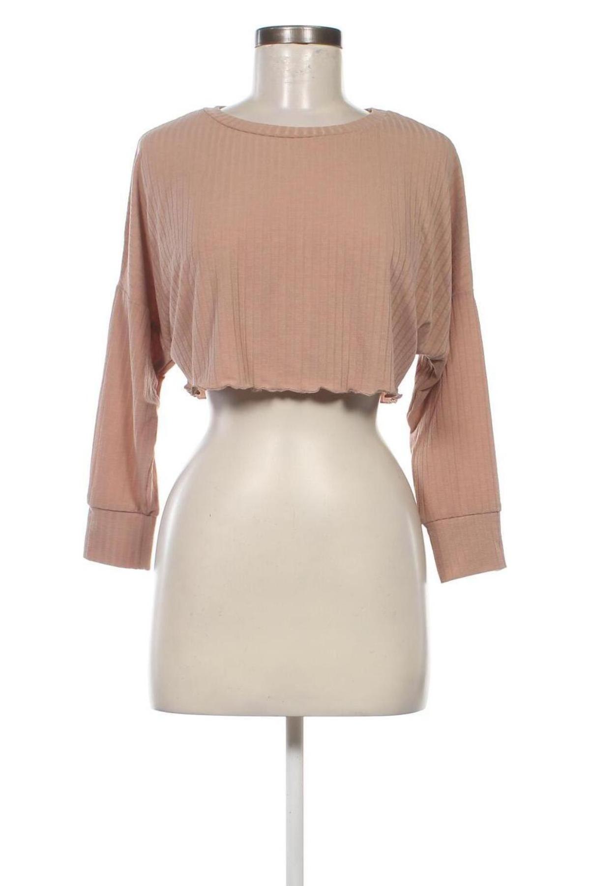 Damen Shirt Miss Selfridge, Größe XS, Farbe Beige, Preis 7,99 €