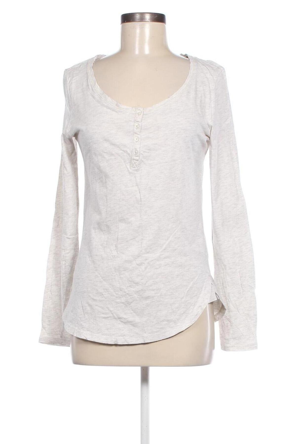 Damen Shirt Terranova, Größe L, Farbe Grau, Preis 9,72 €