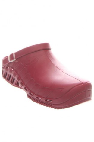Japonki Scholl, Rozmiar 42, Kolor Czerwony, Cena 305,99 zł