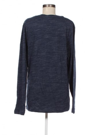 Damen Shirt 17 & Co., Größe XL, Farbe Blau, Preis € 13,99