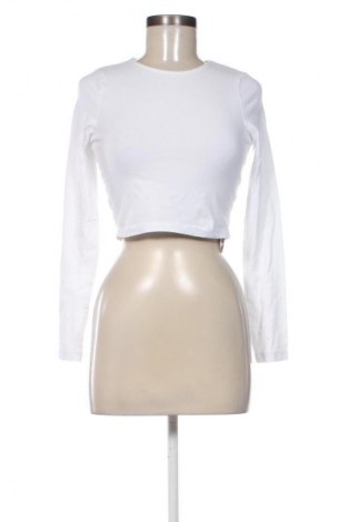 Damen Shirt ASOS, Größe M, Farbe Ecru, Preis € 17,00
