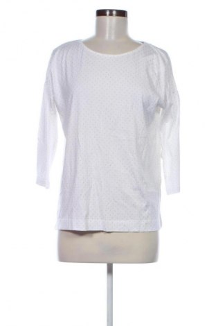 Damen Shirt Adagio, Größe M, Farbe Mehrfarbig, Preis € 12,33