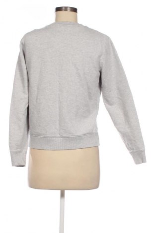 Damen Shirt Calvin Klein, Größe S, Farbe Grau, Preis 45,61 €