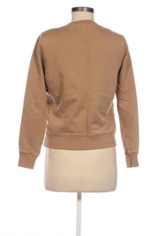 Damen Shirt Calvin Klein, Größe XS, Farbe Braun, Preis 45,61 €