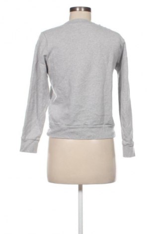 Damen Shirt Calvin Klein Jeans, Größe XS, Farbe Grau, Preis 37,99 €