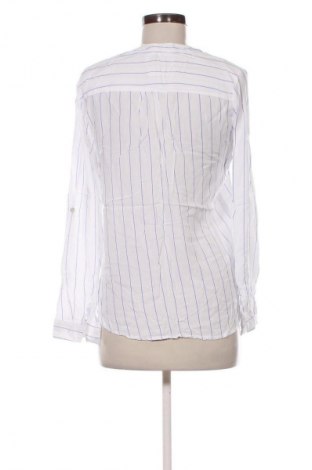 Damen Shirt Chicoree, Größe M, Farbe Mehrfarbig, Preis 9,72 €
