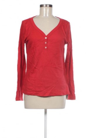 Damen Shirt Gap, Größe M, Farbe Rot, Preis 13,99 €