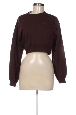 Dámská halenka H&M Divided, Velikost XS, Barva Hnědá, Cena  309,00 Kč