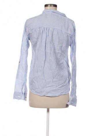 Damen Shirt Hollister, Größe S, Farbe Mehrfarbig, Preis € 23,99