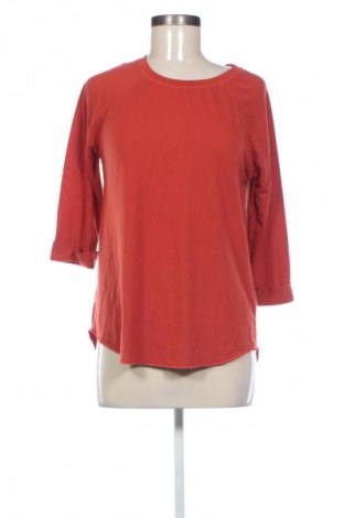 Damen Shirt Janina, Größe S, Farbe Braun, Preis € 10,00