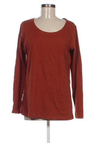 Damen Shirt Janina, Größe L, Farbe Orange, Preis € 13,99