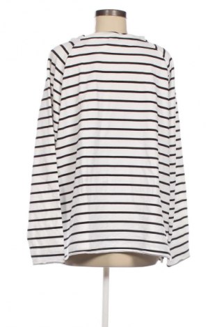 Damen Shirt Kenny S., Größe XL, Farbe Mehrfarbig, Preis € 17,00