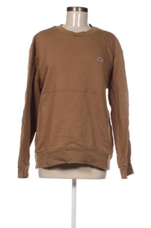 Damen Shirt Lacoste, Größe XL, Farbe Braun, Preis 51,99 €