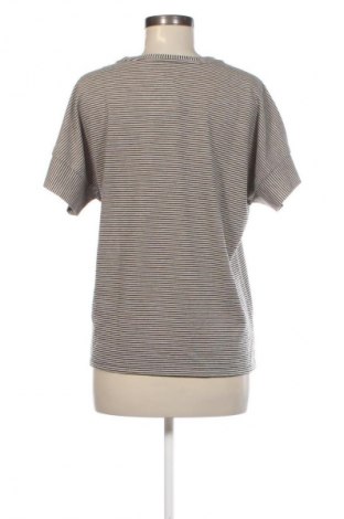 Damen Shirt Le Comte, Größe M, Farbe Mehrfarbig, Preis € 24,99
