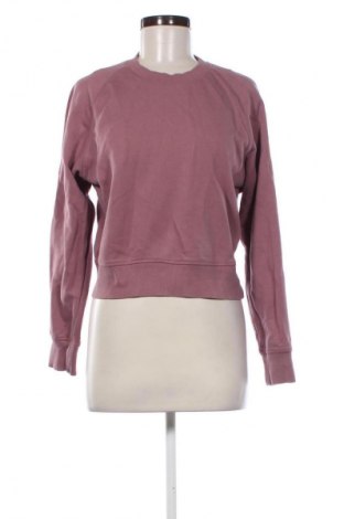 Damen Shirt Oviesse, Größe S, Farbe Lila, Preis € 9,72