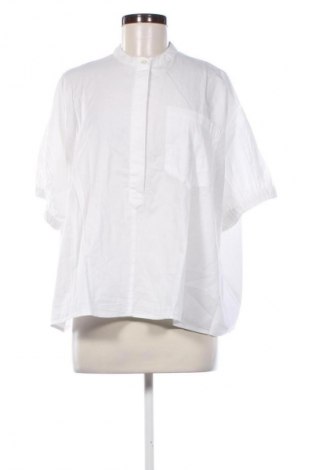 Damen Shirt Piombo, Größe L, Farbe Weiß, Preis 64,99 €