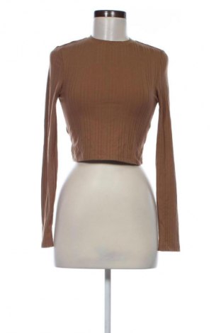 Damen Shirt Sinsay, Größe S, Farbe Braun, Preis 9,72 €
