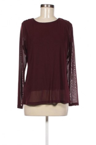 Damen Shirt Street One, Größe M, Farbe Rot, Preis 23,99 €