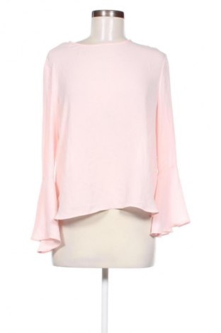 Damen Shirt Terranova, Größe L, Farbe Rosa, Preis € 10,00